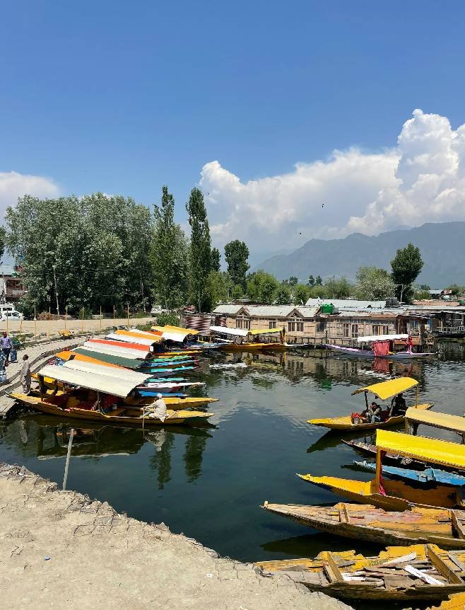 kashmir 1